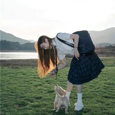 你是骗子我是贼